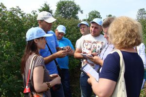 Посещение ягодных хозяйств северной Сербии